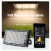 Grow Lights Full Spectrum LED Grow Light 50W 100W 300W Lampes de culture de plantes + EU Plug Sunlight Phyto Lamp pour Greenhouse Indoor Veg and Bloom P230413