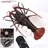 Animaux électriques/RC PB Sac ludique Télécommande simulation électrique homard nouveauté créative jouets délicats modèle animal cadeaux pour enfants VG04 Q231114