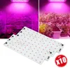 Grow Lights 10st LED GROW Light Phyto Lamp 50W Inget behov Drive SMART IC LEODLIGHT SMD 2835 220V Lång servicetid Diy LED -lampan P230413