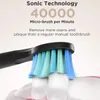 Brosse à dents Fairywill Sonic Brosse à dents électrique FW-508 Chargeur USB IPX7 Brosse à dents électronique étanche avec 8 têtes de brosse de rechange 231113