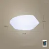 Luci notturne a forma di pietra Luce di paesaggio USB Chagre Lampada da esterno a incandescenza Decorazione da giardino RGB impermeabile con illuminazione remota del prato