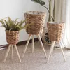 Vases Woven Floor Wooden Flower Stand Scindapsus Basin Shelf Indoor Living Room Balcony Decoration Rattan Basket Nordic