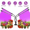 Grow Light Led Grow Light 4 Head Phyto Lamp Full Spectrum USB Phytolamp Plant Lights Grow Box 램프 온실 Hydroponic Grow Tent P230413