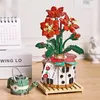 Blokken Creatieve Aardbei Kersenbloesem Vlezige Plant Bonsai Gebouw Mini Bloem Woondecoratie Schattig Meisje Cadeau Kinderspeelgoed 231114