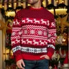 Snowflake Christmas Sweater 2023 Casual Couple Christmas Crew-neck Knitwear Autumn/winter