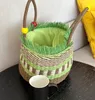 Bolsas de praia Designer bolsa de tecido de grama vegetal cesta moda folha verde maçã turismo tendência de rua bolsa de ombro menina top bolsas