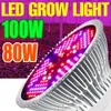Grow Lights LED Full Spectrum Plant Grow Light E27 Phyto Lamp E14 LED Hydroponic Bulb 18W 28W 30W 50W 80W 100W LED växthusplantningslampa P230413