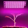 Grow Lights 10st LED GROW Light Phyto Lamp 50W Inget behov Drive SMART IC LEODLIGHT SMD 2835 220V Lång servicetid Diy LED -lampan P230413