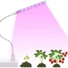 Grow Lights USB Grow Lamp inomhus flexibel fytolamp för växter Blommande frön Tält Phyto Lamp Grow Lighting DC5V 10W Full Spectrum Table Lamp P230413