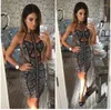 Casual Dresses 2023 Fashion Women Sexy Lace Vestidos Spaghetti Strap Celebrity Club Wear Evening Party Bandage Wholesale