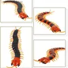 Electric/RC Animals Tricky Creative Remote Control Animal Centipede Electronic Pet Model Simulation Animal Centipede Children's Education Toys Q231114