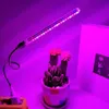 Grow Lights USB 5V LED Grow Light 21LED Spettro completo Rosso Blu Phyto Grow Lampada Phytolamp per interni per piante Fiori Piantina Serra P230413