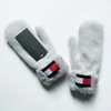 warmte en handschoen Leuke handschoenen, verdikt en eenvoudig pluche, klassieke warmte voor heren in winterhandschoen