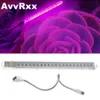 Grow Lights USB 5V LED Grow Light 21LED Full Spectrum Red Blue Phyto Grow Lamp Indoor Phytolamp For Plants Flowers Seedling Greenhouse P230413