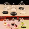 Bouteilles 4 ensembles/pack diamètre 12 cm haut d'oiseau rond en verre dôme Vase décoration de la maison bûche Base couverture bricolage faveur de mariage cadeau