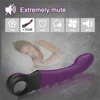 Hızlı Orgazm G Spot Vibratör Kadınlar için Klitoris Stimülatörü Dildo Vibratörler Kadın Samimi Mallar Yetişkin Sexitoys 231010