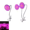 Grow Lights 1/2 têtes 6W 15W 20W LED élèvent la lumière E27 Phyto lampe pour plantes lampe à pince pour plantes mobile pour graines fleur Fitolamp tente de croissance P230413