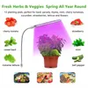 Grow Lights Plant Grow Light USB LED GROW Light Full Purple Phyto Grow Lamp inomhus Phytolamp för växter Blommor Plantor växthus P230413