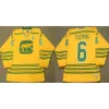 SJ 1974 WHA Vintage Chicago Cougars Hockey Jerseys 6 REGGIE FLEMING 12 PAT STAPLETON 17 LOU ANGOTTI 15 ERIC NESTERENKO 14 Backstm Yellow