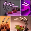 Grow Lights 20W 40W 60W 80W LED Grow Light Full Spectrum Phyto Lamp With 3 Modes Timing Function For Indoor Flowers Plants Growth Lighting P230413