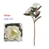 Flores decorativas 1 PCS 75cm Artificial Magnólia Flor de Seda Ramo Decoração de Casa Decoração de Sala de Mesa Presente F782