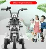 Three Whees Electric Scooters Adults Electric Bicycles 12 Inch Tricycle Dual Motor 500W 48V Electric Scooter Bike With Seat