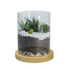 Pot de plantes succulentes à sublimation, Pots en verre, petit cylindre, pot de fleurs avec soucoupes en bambou pour plantes d'intérieur et d'extérieur Z11