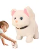 Electric/RC Animals Electric Cat Plush Toy Walking Barking Söt husdjur med batterikontroll Födelsedagspresent till Boy Girl Kawaii Electronic Plush Toys 230414