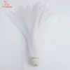 Other Event Party Supplies CHENGBRIGHT High Quality Pure White Rooster Coque Tail Feathers For Crafts Wedding Decoration Costume Decoration Pheasant 231114