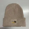 North Beanie Designer Face Chapéu de alta qualidade Chapéu frio Temporadas de outono e inverno Chapéu de malha sólida Proteção de orelha e proteção contra frio Chapéu de lã de marca para mulheres
