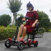 4 Wheel Mobility Scooters For Seniros Folding With Detachable Seats Dual Motor 250W Electric Scooter Bike 36v For Adults 18Km/h