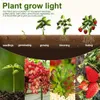 Kweeklampen groeien licht voor binnenplanten 48 LEDE planten kweeklampen met timer 5 dimbare niveaus vol spectrum GOOENECK GROEISTOF LAMP USB P230413