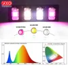 Grow Lights LED Grow Light Dimmable 2000W DOB Full Spectrum Grow Hight PPFD Phytolamp Pour Fleurs Serre Grow LED Plants Veg Blooming P230413