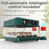 Small Animal Supplies 9 15 eieren Incubator met lade Type Mini Ei Automatisch water Ionisch waterbedvulling en temperatuur Contro 230414