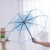 Parasole przezroczyste automatyczne składane parasol dla kobiet na deszcz i słoneczne Windproof Women 230413