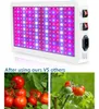 2000W LED GROW Lights SMD 2835 LEDS Full spektrum växer lampor för inomhushydroponiska växter Veg Bloom växthus odlingslampor frön som startar plantor