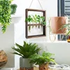 Vaser förökningsrör bordsskivan glas terrarium hängare hem trärand med 5 provrör dekoration