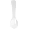 Spoons Shell Dessert Restaurant Natural Caviar Server Small Decorative Tableware