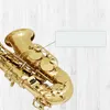 Alto Saxophone Brass Body E-flat Alto Saxophone