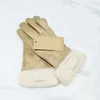 Designer handskar lyxhandskar modemärke designstil för kvinnor vinter utomhus varma fem fingrar konstgjorda läderhandskar grossist p2