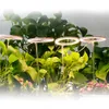 Grow Lights LED Angel Halo Grow Light DC 5V USB Phytolamp For Plants Led Full Spectrum Lamps For Indoor Plant Seedlings Home Flower Succulet P230413