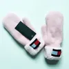 warmte en handschoen Leuke handschoenen, verdikt en eenvoudig pluche, klassieke warmte voor heren in winterhandschoen