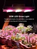 Grow Lights LED Grow Light Dimmable 2000W DOB Full Spectrum Grow Hight PPFD Phytolamp Pour Fleurs Serre Grow LED Plants Veg Blooming P230413