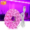 Grow Lights Full Spectrum Grow Light 5V USB LED -remsa 0,5 m 1 m 2 m hand svepsensor / touch switch växande LED -tejpljus. P230413