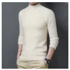 Männer Pullover Winter Casual Rollkragen Pullover Verdickt Warme Einfarbig Nerz Pelz Herren Thermische Samt Stricken Pullover