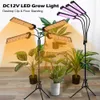 Grow Lights 20W 40W 60W 80W LED Grow Light Full Spectrum Phyto Lamp med 3 lägen Tidsfunktion för inomhusblommor Växter Tillväxtbelysning P230413