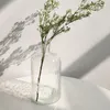 花瓶のデザートバー装飾ガラス花瓶クリエイティブホームリビングルーム水耕栽培緑の植物ボトル小さい