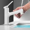 Robinets de lavabo de salle de bain Le robinet peut être dessiné et pulvérisé avec de l'eau froide