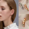 Boucles d'oreilles à dos en cristal coloré non percé pour femmes, Simple, Clip enveloppant, faux Cartilage, os, bijoux Brincos