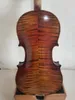 Violon Master 4/4 modèle Stradi, dos en érable flammé, table en épicéa, fabriqué à la main K3008